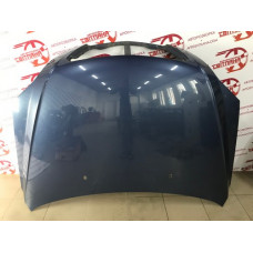 Капот Kia Sorento 2002-2009 664003E000